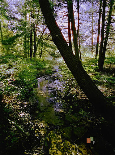 HemlockCrossing_645Z_smc35mmf3_capture000038_FP_FP2_rz
