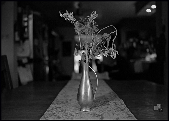 Edit_Pentax-6x7_w-SMC-Pentax-67_55mm-f3.5_UFX-400@800-Xtol-1-1_16min-000011_fx