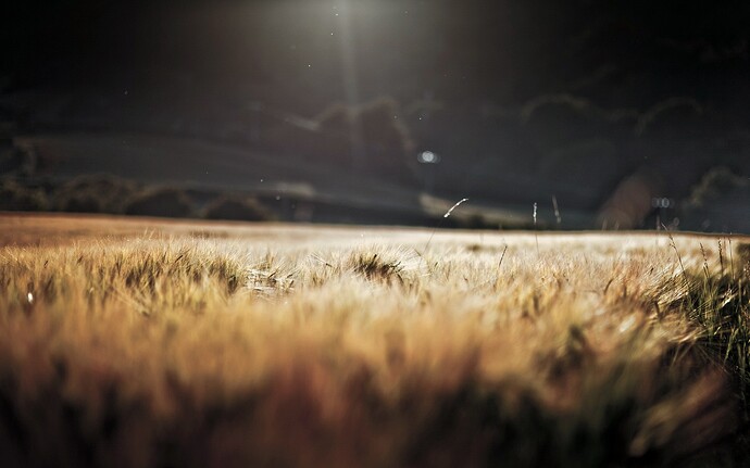 moon-set