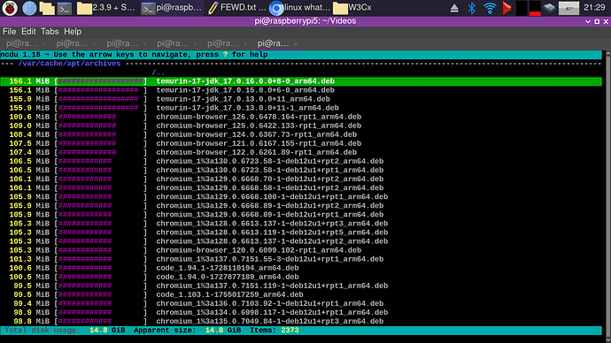 2025-08-19th - ncdu View of apt Cache Folder