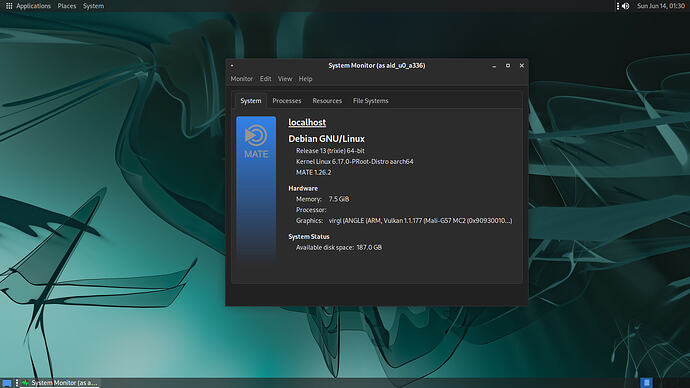 Screenshot at 2026-06-14 01-30-45
