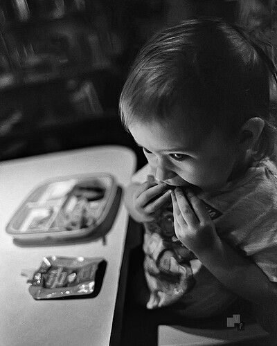 Canon-A2_EF-28mm-f1.8@f1.8_Kentmere-400@1600_Xtol-1-1_18min-68-degrees_LS-5000-2